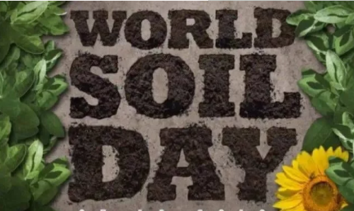 世界土壤日:你对脚下的土壤了解多少?