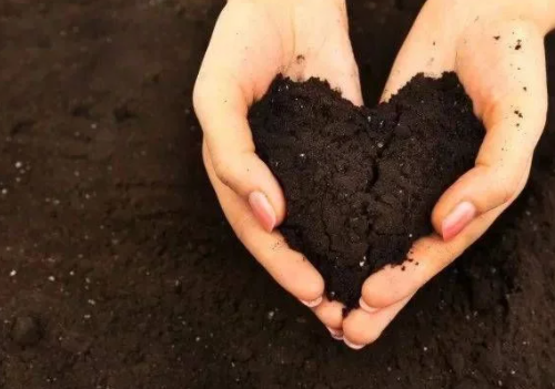 世界土壤日:你对脚下的土壤了解多少?