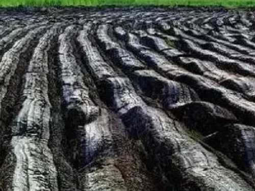 没有高精尖，农民如何判断土壤肥瘦？10个土办法，管用！