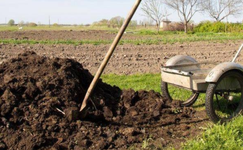 土壤改良—粪肥有多少坑？