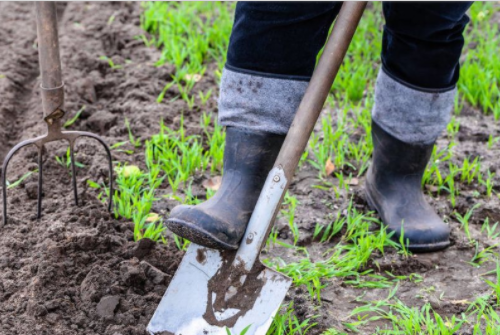 不同类型的土壤特点解析,如何因地制宜改良土壤