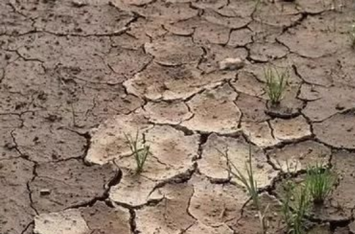 土壤板结,一个绕不开的沉重话题,打破了农田生态环境平衡