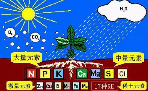 有机肥的10大作用！你知道吗？