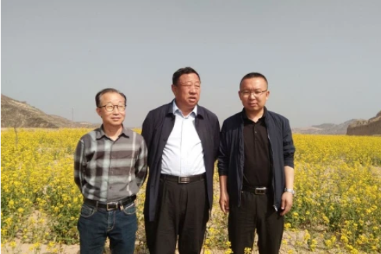 神木市达沃特生物工程股份有限公司董事长杨兴平