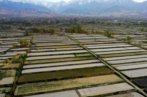 土壤有效修复与保护不断强化