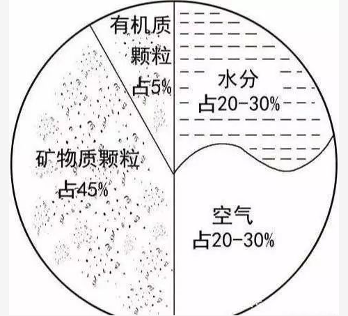 从本质上讲，所有的生命都依赖于土壤！