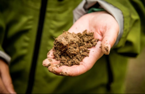 测土配方施肥 提升土壤质量