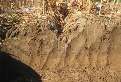 黑土地退化问题严重 评论：健康的土壤离不开科学耕作