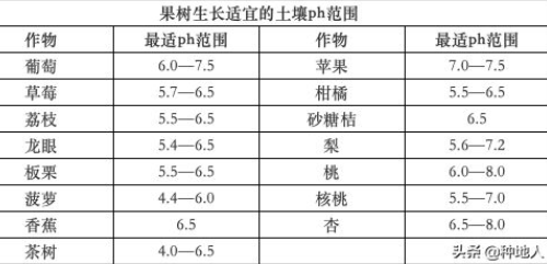 农民一定要重视“有机肥”的投入，不要问为什么，自己看吧！