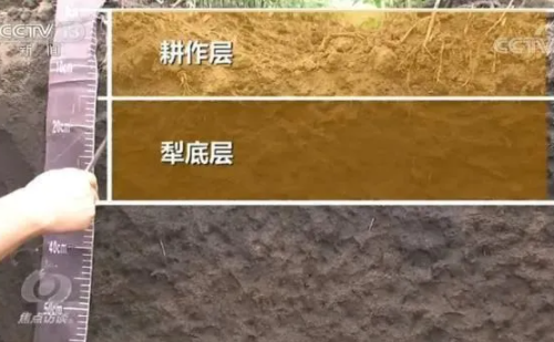 央视《焦点访谈》：土壤太瘦了！改良已刻不容缓！