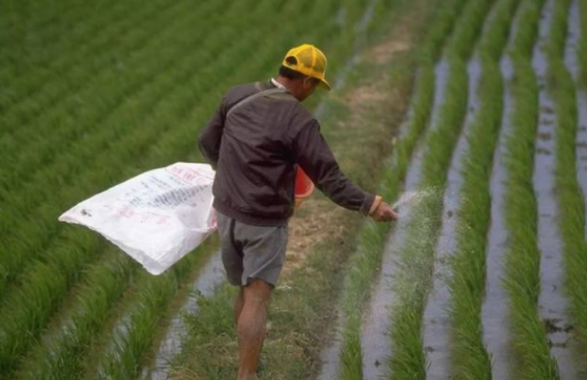 土壤板结和“有毒”的粮食跟什么有关，怪罪化肥农药吗？