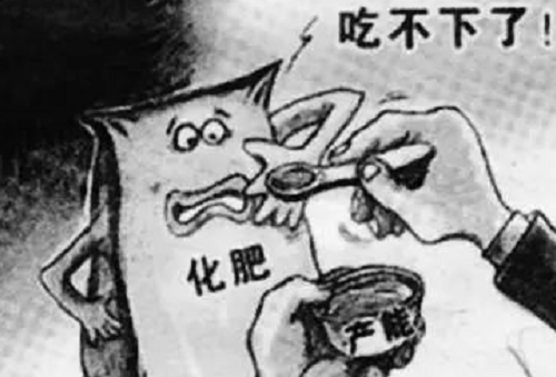 被化肥农药“毁掉”的土壤！数据曝光！