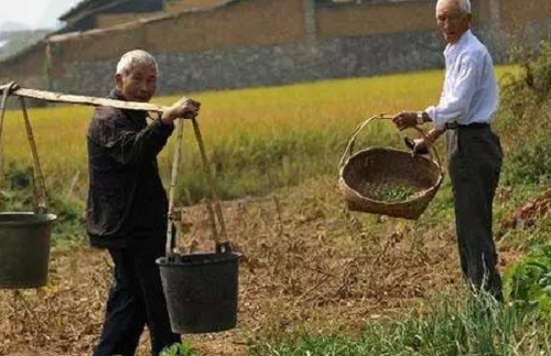 日本人在中国租了1500亩地，闲置5年任荒草疯长，但结果让中国人大吃一惊