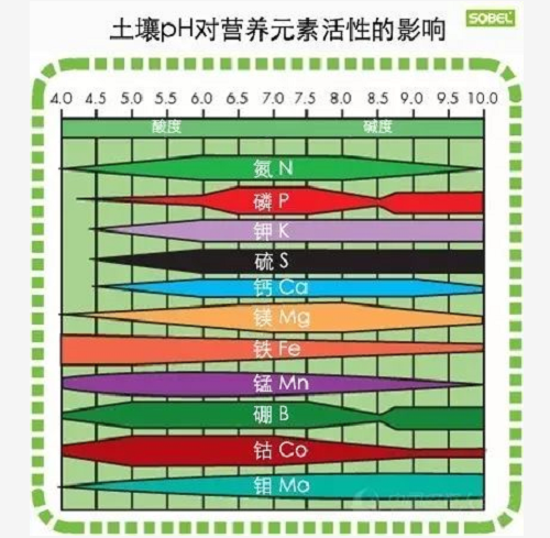 土壤酸碱度失衡有多可怕？看完这篇文章你会大涨见识！