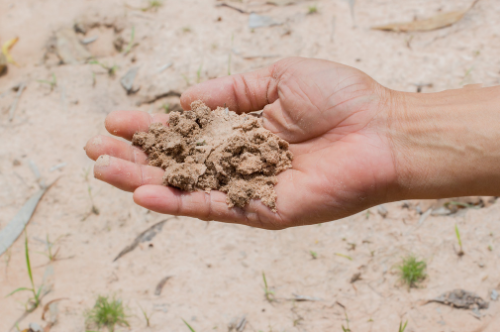 土壤恶化包括哪几方面？土壤调理剂能改良土壤吗？