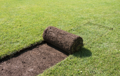 土壤恶化包括哪几方面？土壤调理剂能改良土壤吗？