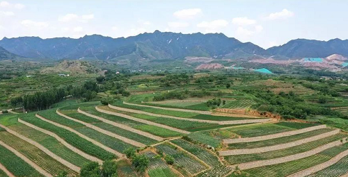 张凤荣：厘清耕地生态保护的内涵