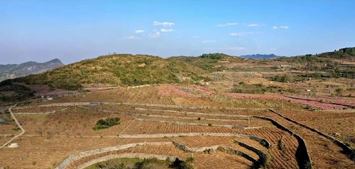 张凤荣：厘清耕地生态保护的内涵