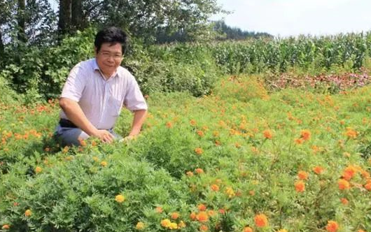 干货，快速揪出土壤“隐形杀手”