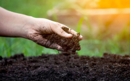 改善土壤环境，再现土壤生命活力