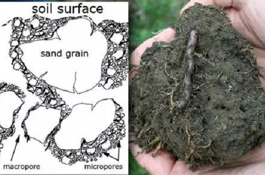 土壤有机质增加1%，每亩要用多少有机肥？