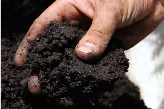 土壤有机质增加1%，每亩要用多少有机肥？