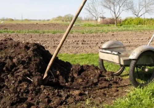 种菜土壤结板怎么办？