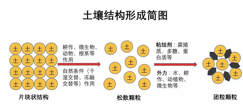 一定要看，最基本的土壤知识（农业人必备）！