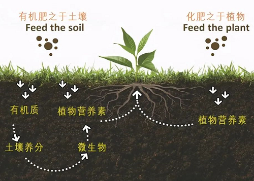 保护土壤，我们强烈呼吁！——做农业的你，一定要看看！