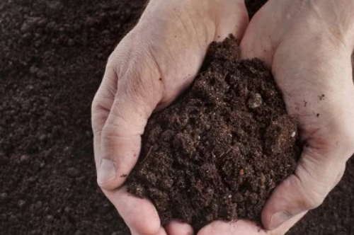 提高耕地质量为什么要用土壤调理剂听听专家怎么说！