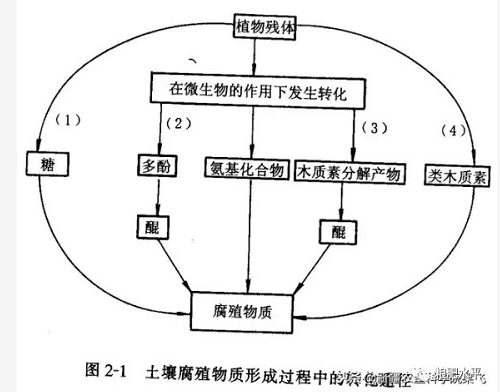 土壤有机质到底是什么？