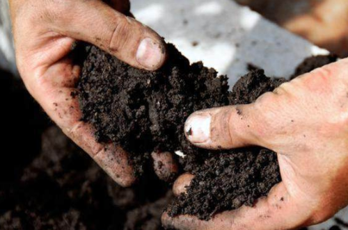什么是土壤有机质？