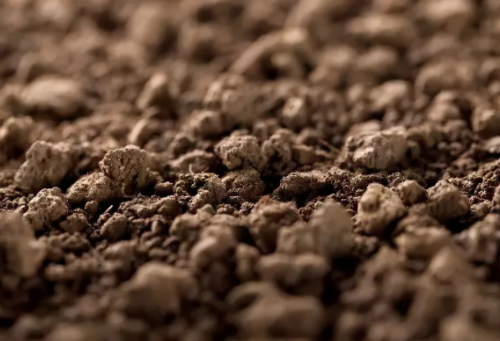 什么是土壤板结？怎么解决土壤板结的问题？