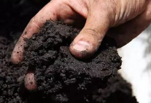 土壤有机质的13大作用！