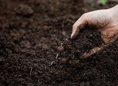 土壤出现板结的原因，影响作物对营养的吸收，学会合理施肥
