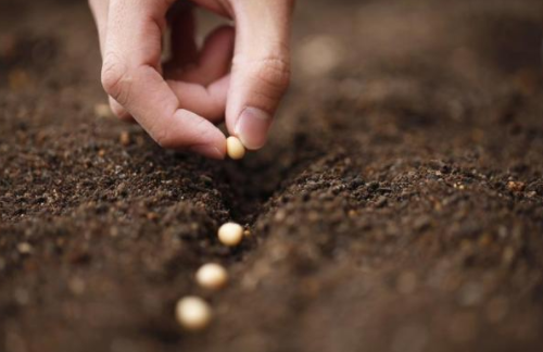 土壤贫瘠造成作物减产，科学进行土壤培肥，保证作物营养所需