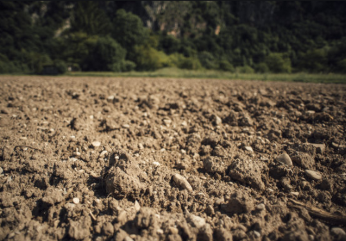 科学施肥，促进农业增产与耕地提质双赢