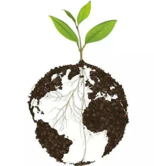 【世界土壤日】一起了解土壤环境的重要性