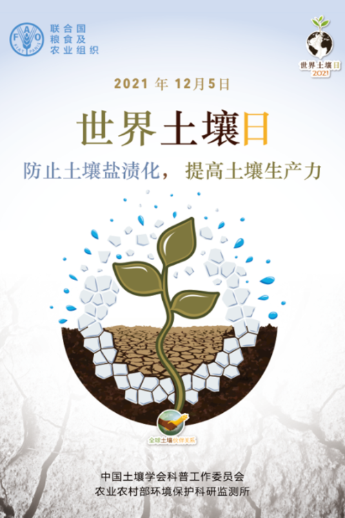 「世界土壤日」防止土壤盐渍化，提高土壤生产力