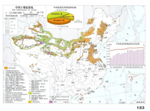 「世界土壤日」防止土壤盐渍化，提高土壤生产力