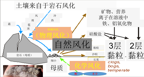 假如我们的土壤生病了...