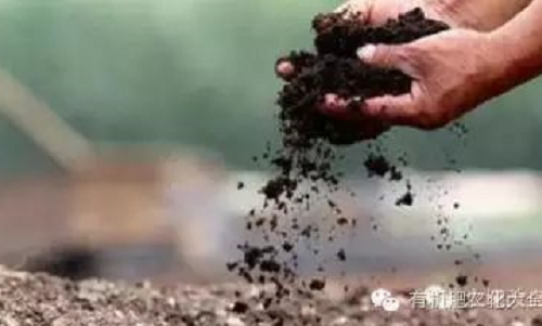 土壤改良任重而道远，不妨试试这四种实用方案