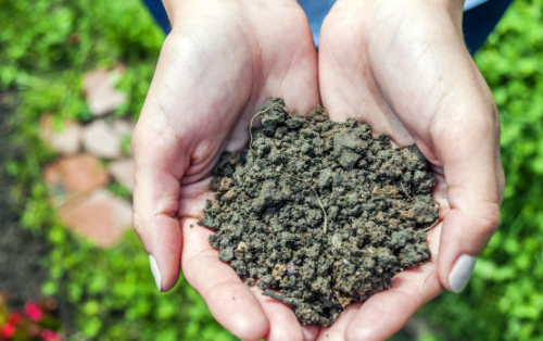 新型土壤分析仪告诉你土壤养分的消耗是什么？
