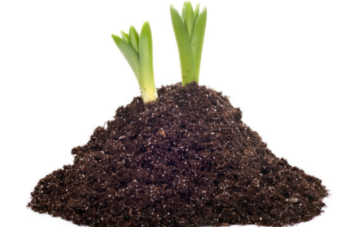 冲肥不少，为何土壤越来越不行了？ 