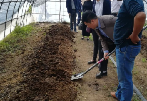 土壤是植被生长根本，这几个小技巧改善土壤肥力，让你无后顾之忧