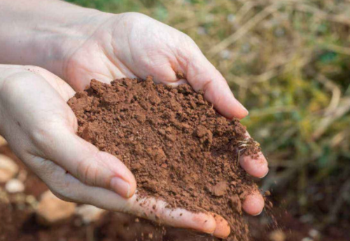 土壤问题日益严峻，我们该如何拯救？