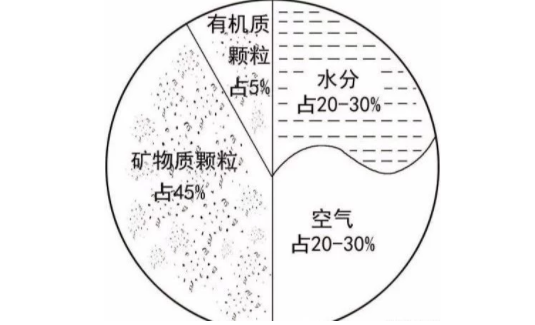 土壤里面学问大