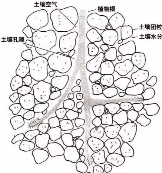 土壤里面学问大