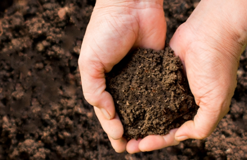 如何科学使用土壤调理剂？