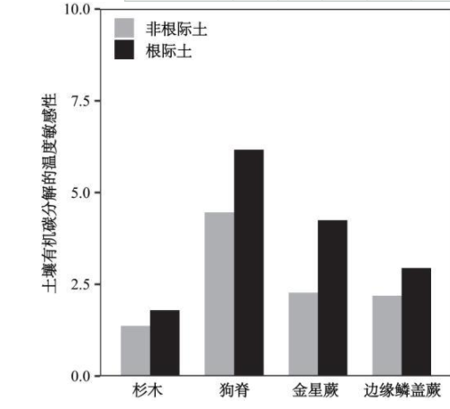 根际土壤：小心脏，大功能